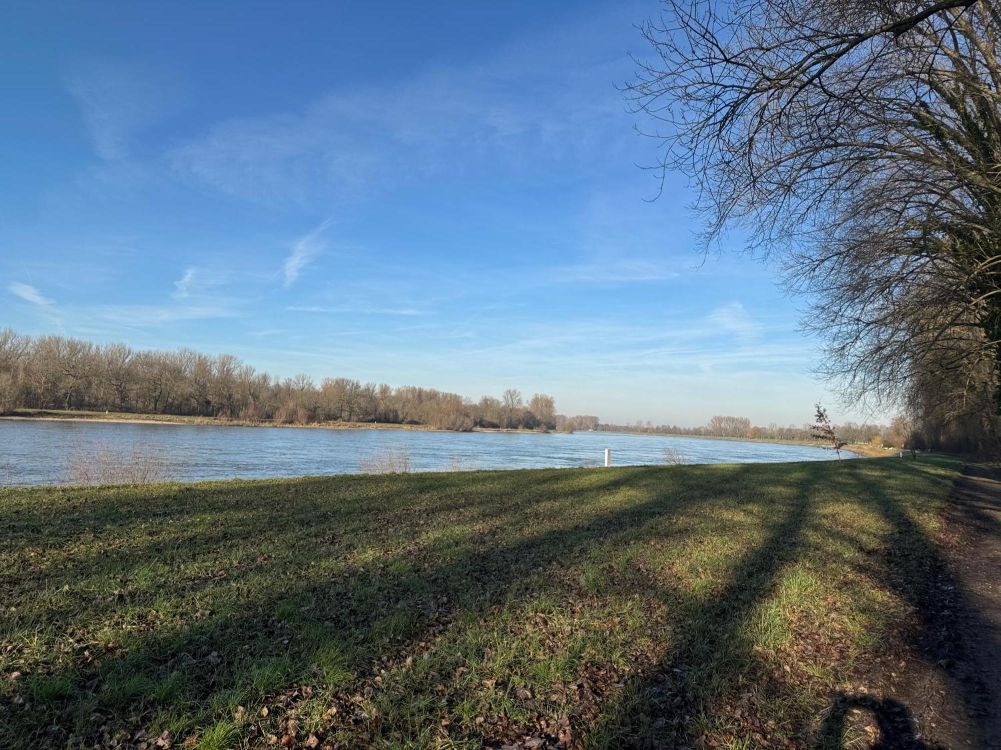 Hoffmann Am Rheinbogen Holiday home