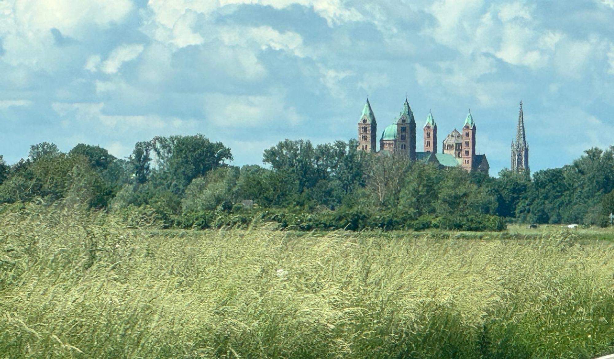 Hoffmann Am Rheinbogen Holiday home *